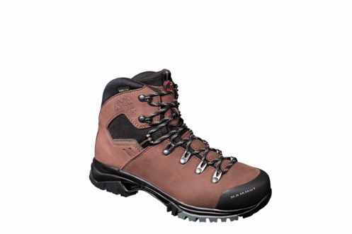 Mammut Mt. Vista GTX Women